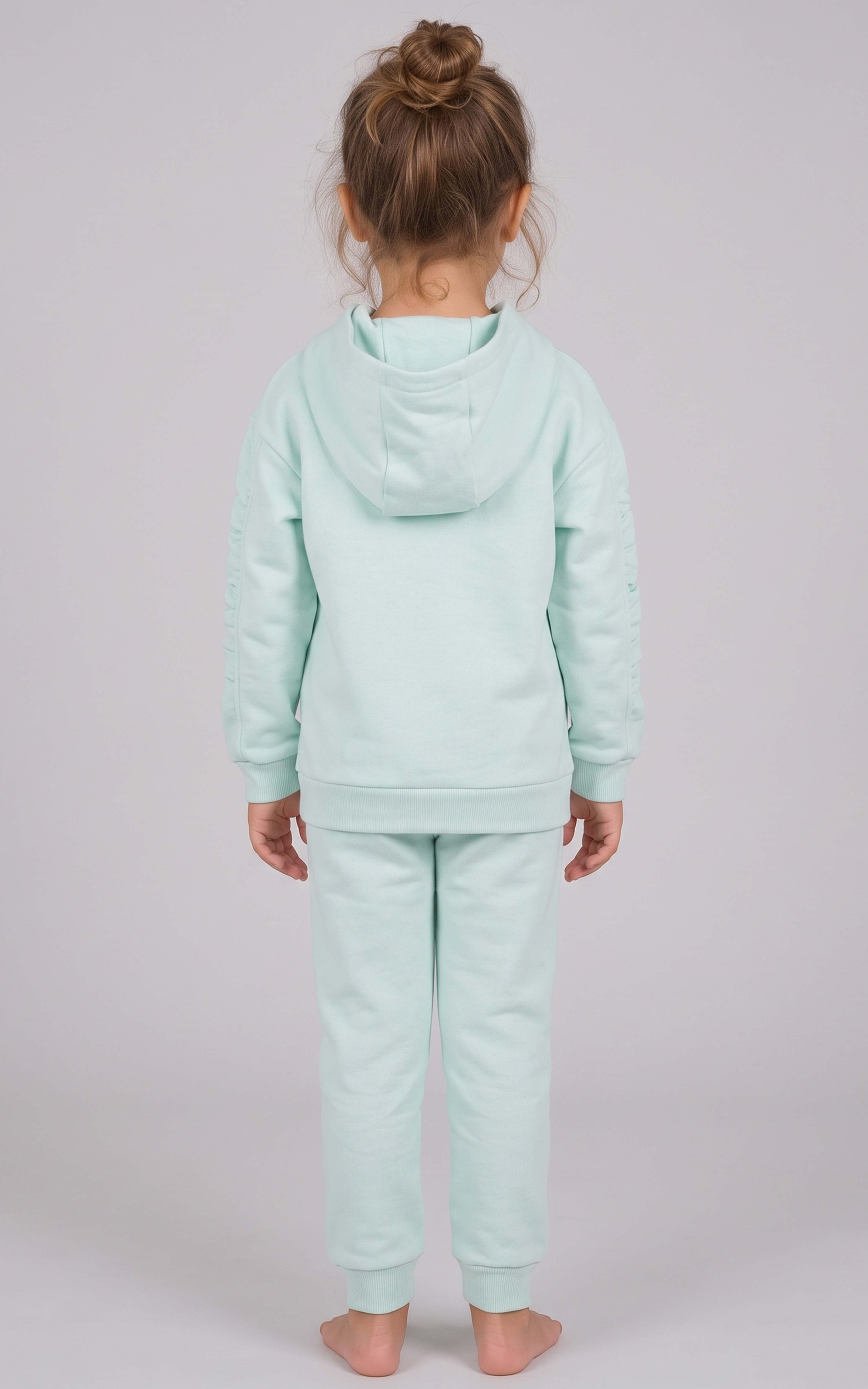 Back view of a mint green brushed-terry toddler hoodie and tapered joggers set with a hood and long sleeves.