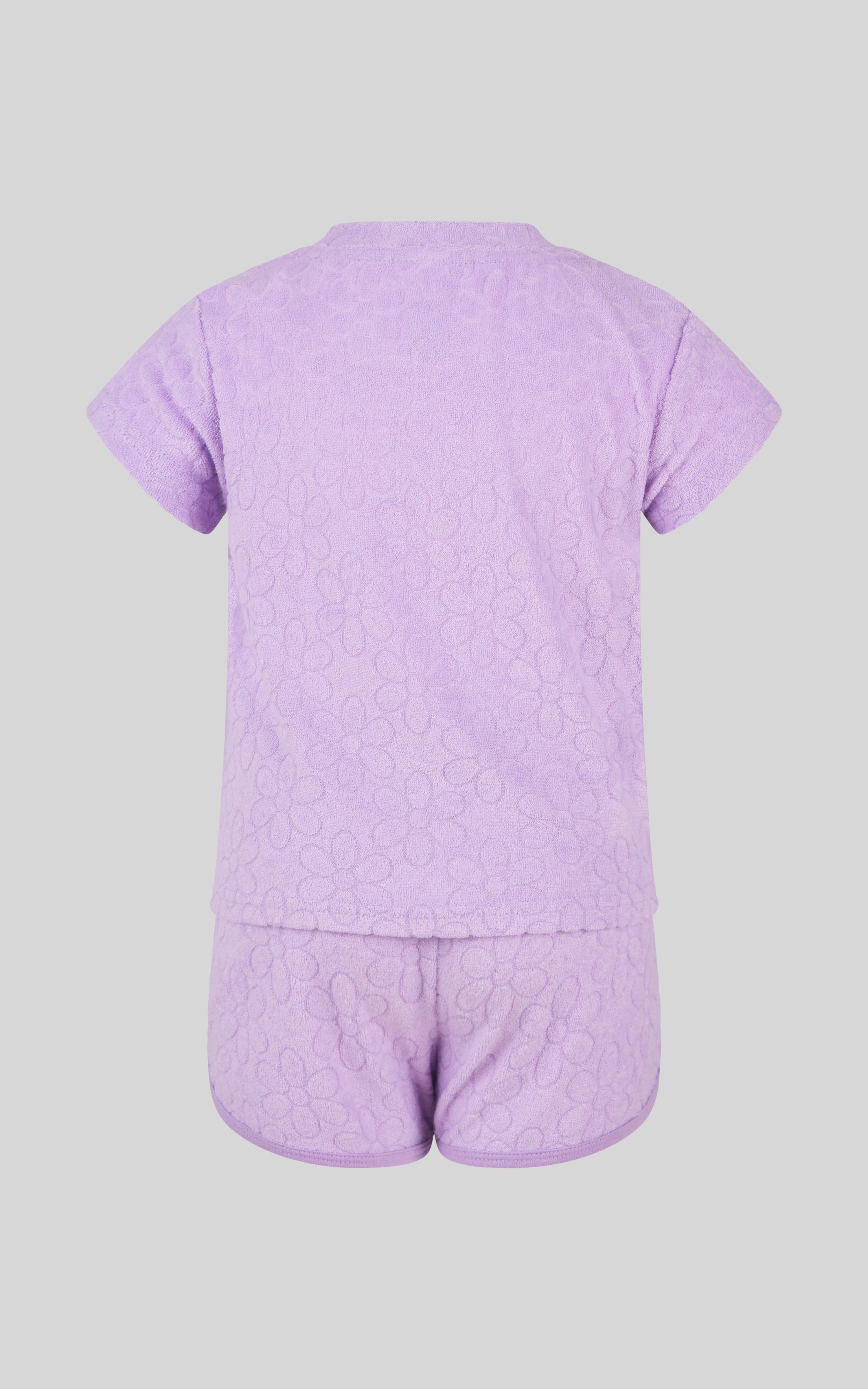 Toddler Girls 2 PC Towel Terry Short Sleeve Top and Dolphin Short - 90 Degree by Reflex