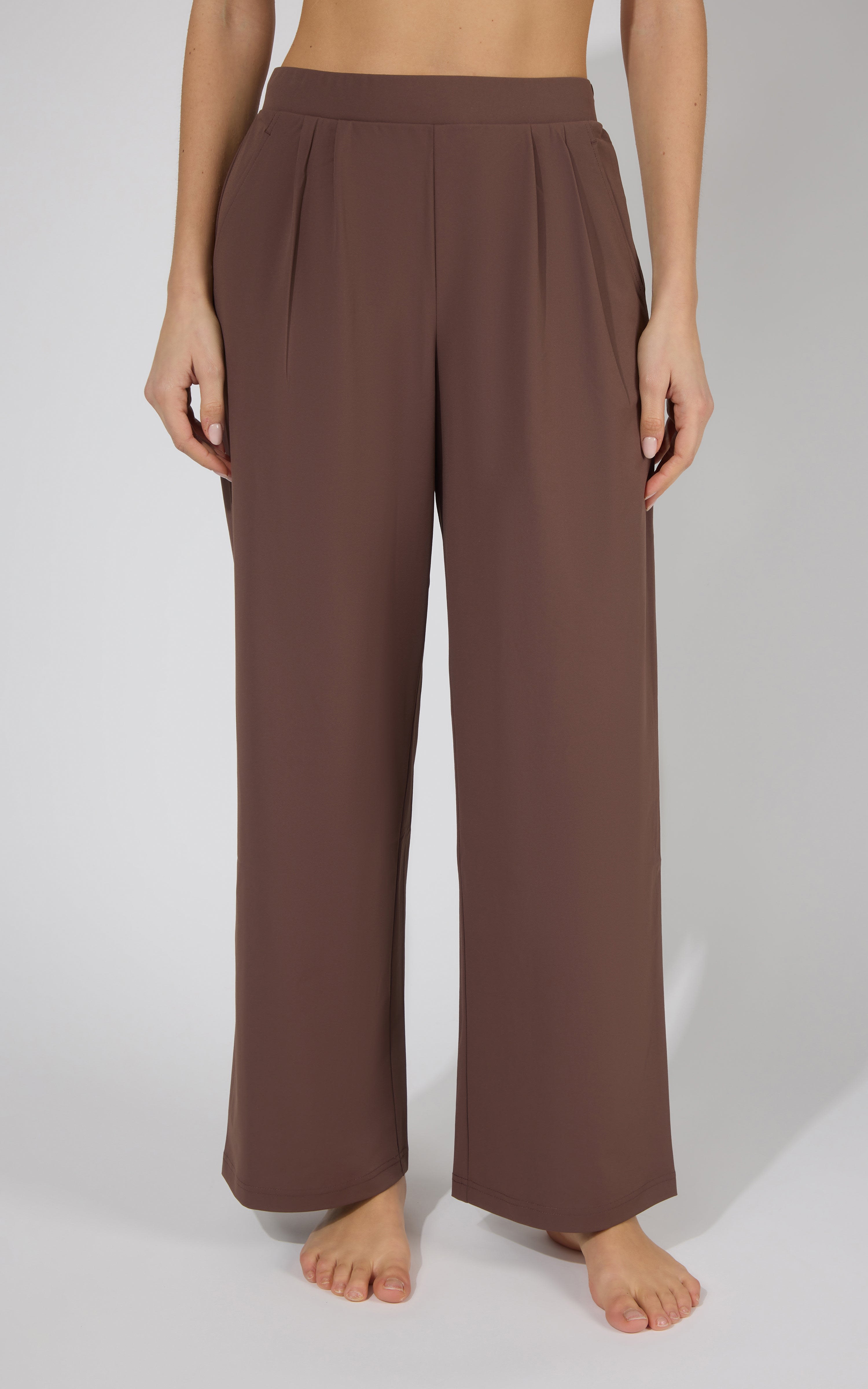 Classic brown wide-leg pleated trouser pants with a high waist and relaxed fit for women.